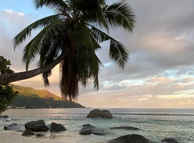 Crystal Shores Self Catering - Beau Vallon, Seychelles Apartment